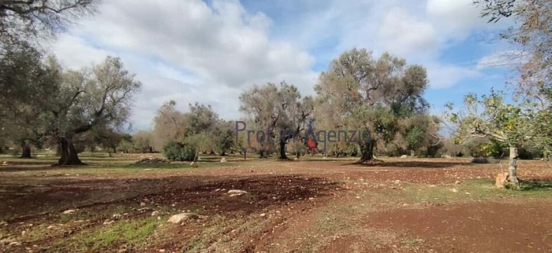 Участок земли в Сан-Вито-деи-Норманни