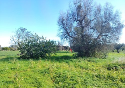 圣维托-代诺尔曼尼建筑用地