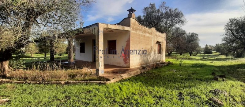 Villa à San Michele Salentino