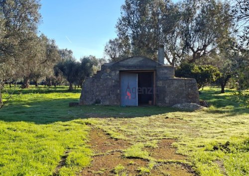 圣米凯莱萨伦蒂诺拉米亚