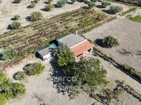 Maison de campagne à Scalea