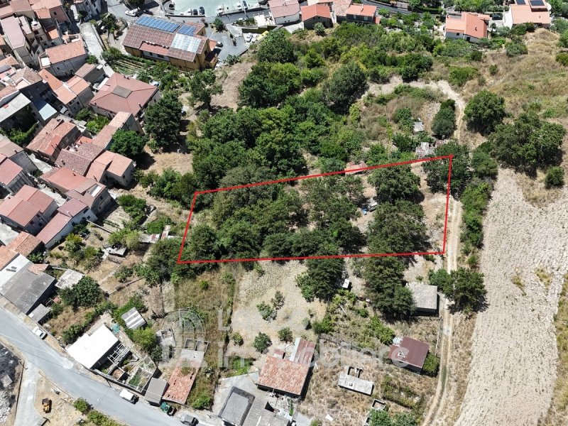 Radhus i Santa Domenica Talao