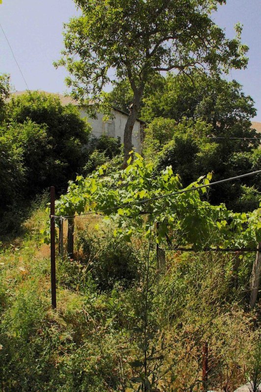Casa em Cocullo