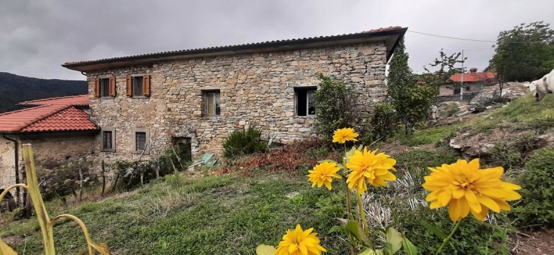 Farmhouse in Bagnone