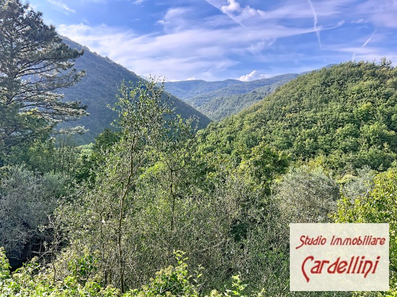 菲维扎诺独栋房屋