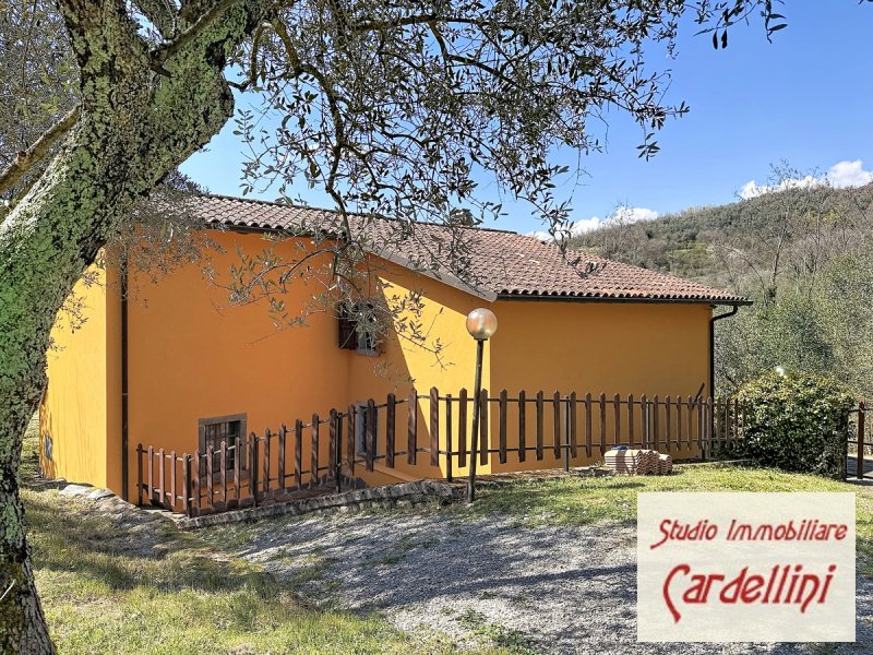 Einfamilienhaus in Minucciano