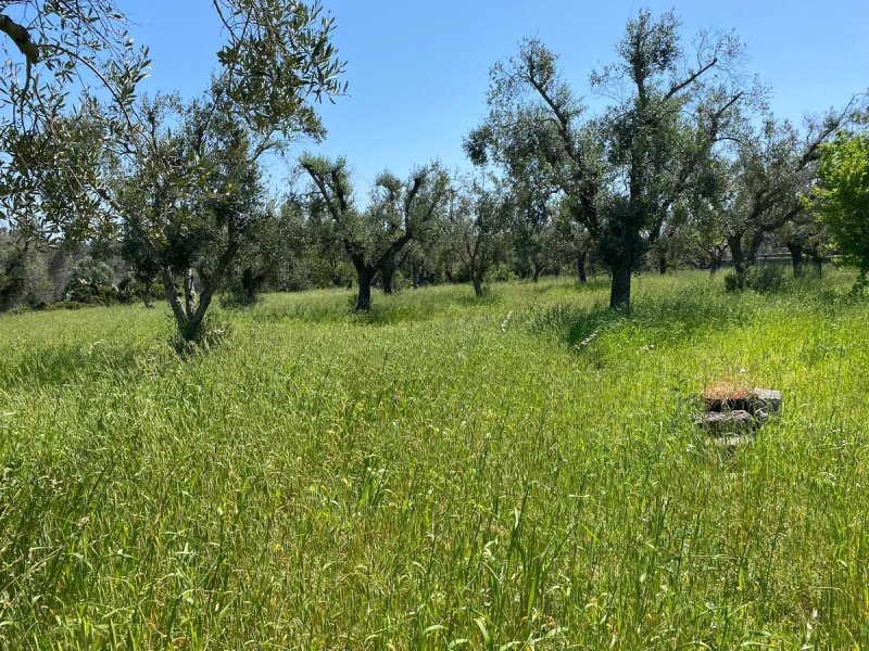 Casa de campo en San Vito dei Normanni