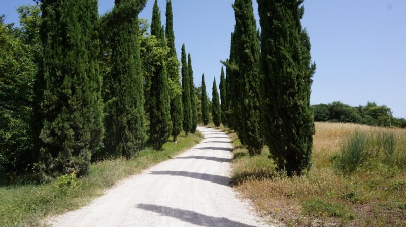 Boerenbedrijf in Montalcino