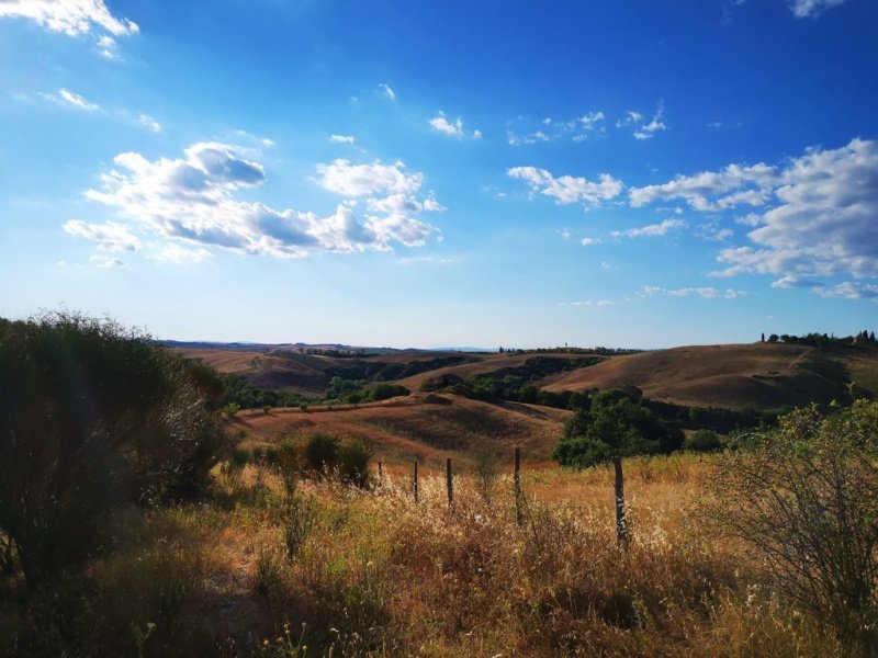 Cabaña en Montalcino