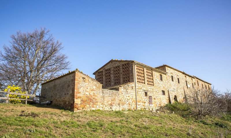 Explotación agrícola en Montalcino