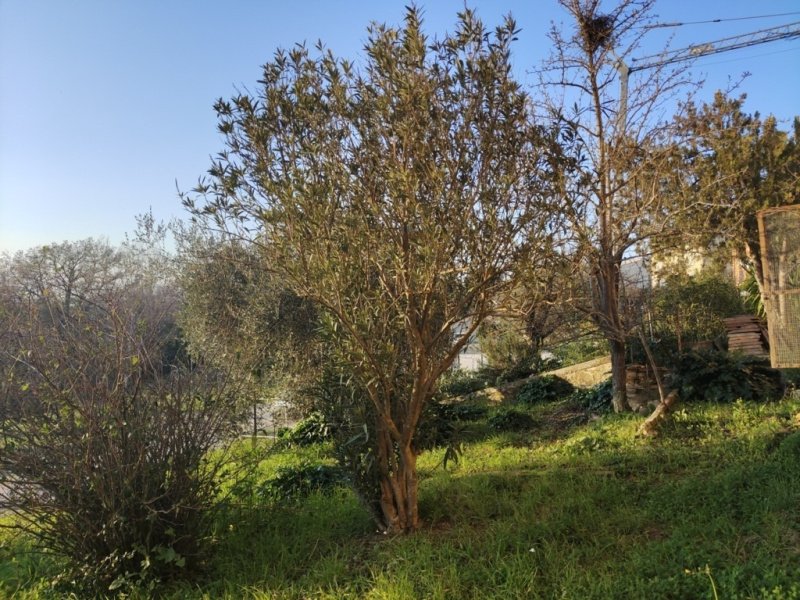 Terrasse à Montalcino