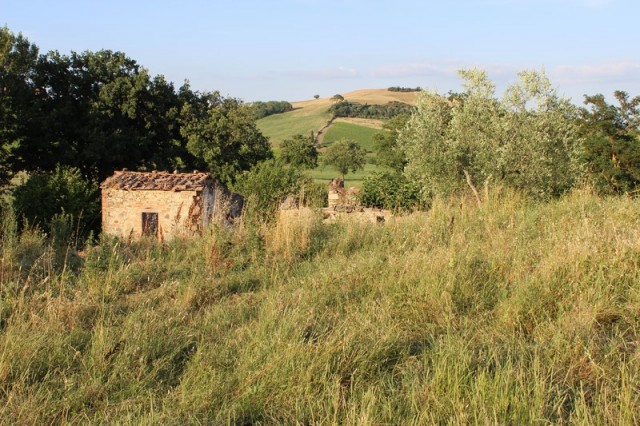 Lantställe i Torrita di Siena