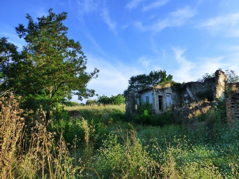 Lantställe i Torrita di Siena