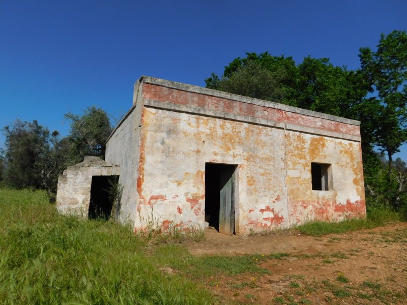 Klein huisje op het platteland in Ceglie Messapica