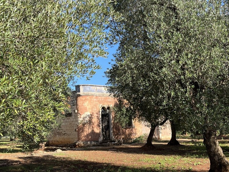 Отдельно стоящий дом в Челье-Мессапика