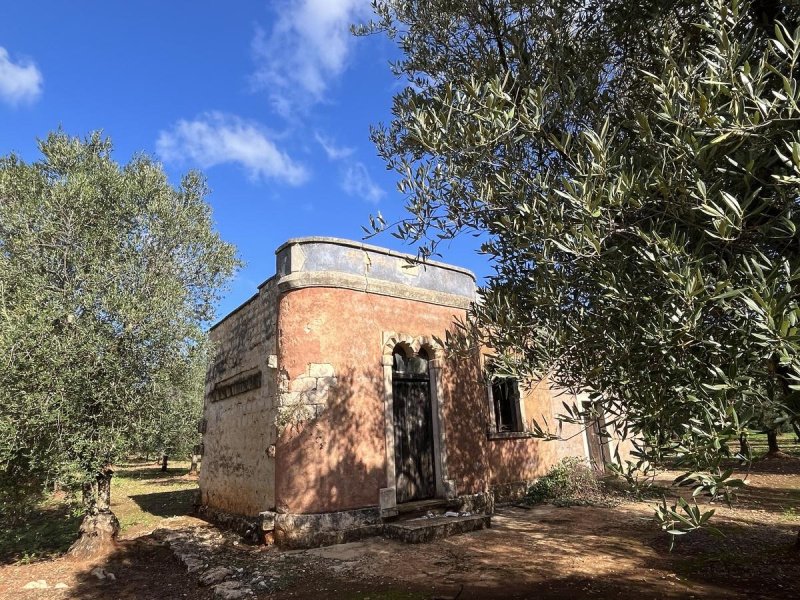 2 Bedrooms Farmhouse for sale in Ceglie Messapica [800221] | Gate-away®