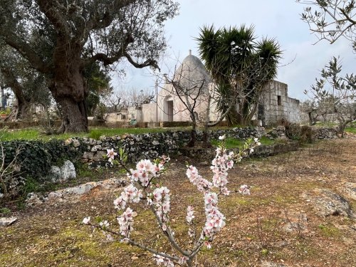 Trullo en Ceglie Messapica