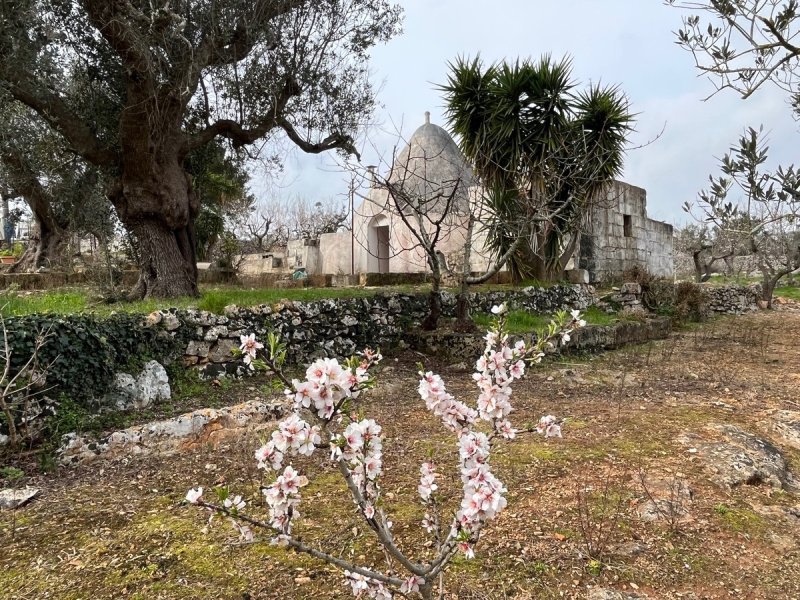 Trullo en Ceglie Messapica
