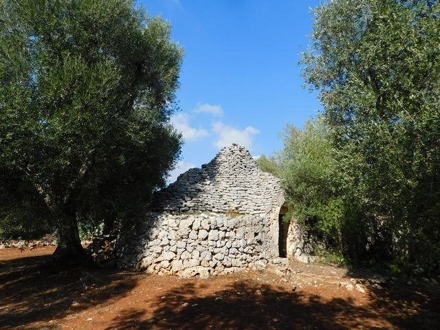 Trullo in Ceglie Messapica