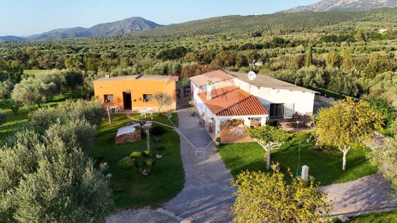 Detached house in Dolianova