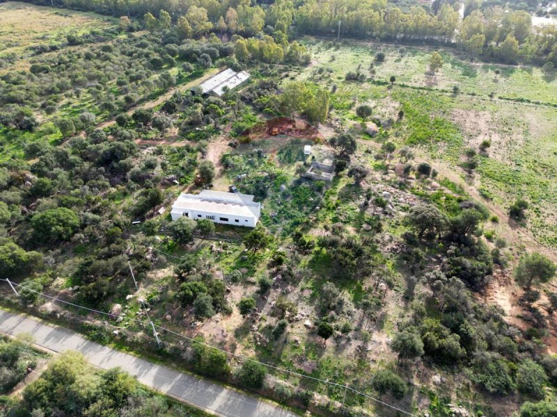 Azienda agricola a Pula