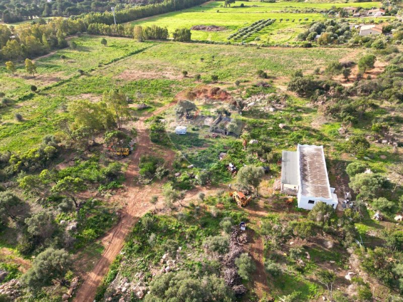 Azienda agricola a Pula