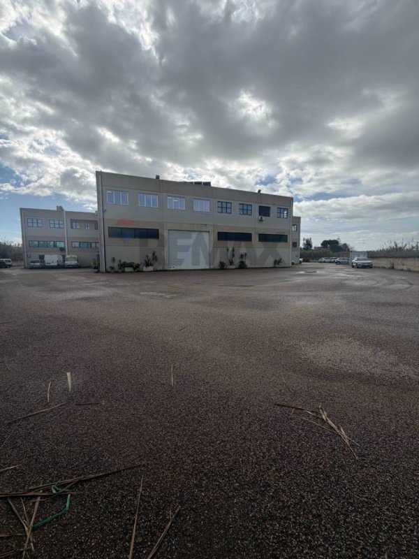 塞斯图商业房产