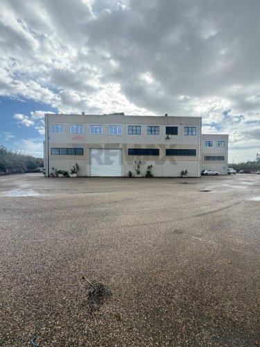 塞斯图商业房产