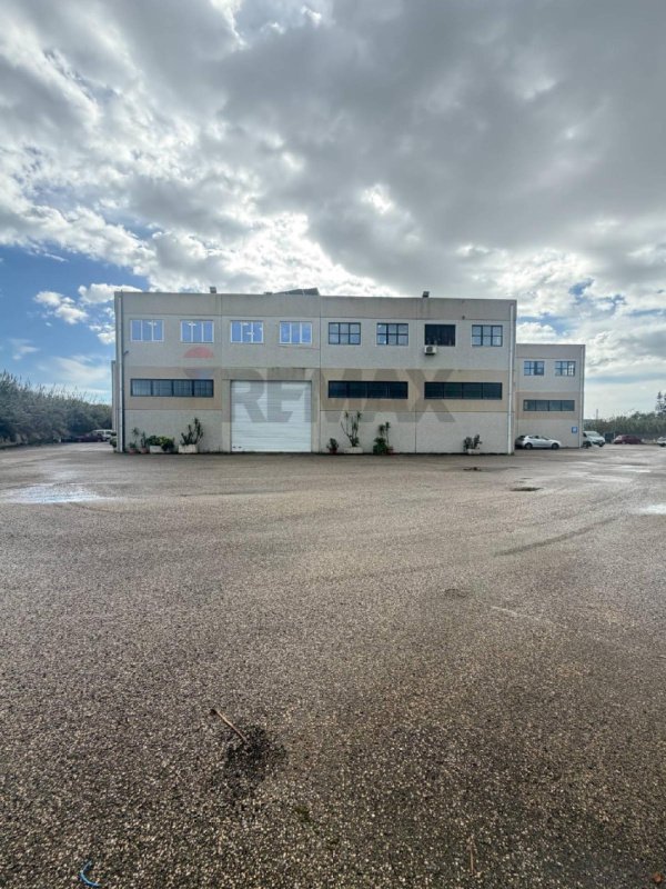 塞斯图商业房产