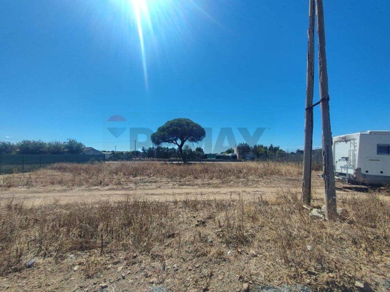 Terreno agricolo a Quartu Sant'Elena