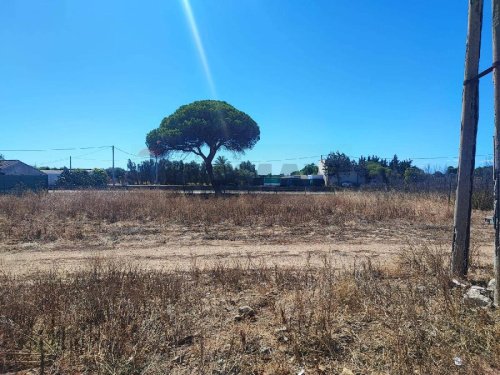 Agricultural land in Quartu Sant'Elena