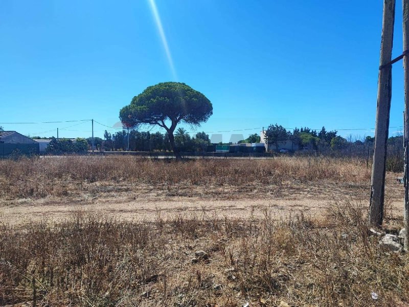 Terreno agricolo a Quartu Sant'Elena