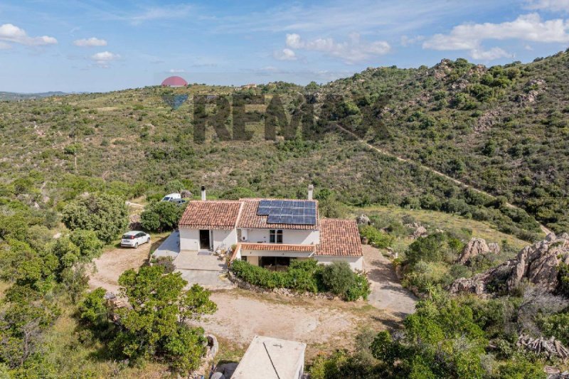 Villa in Olbia