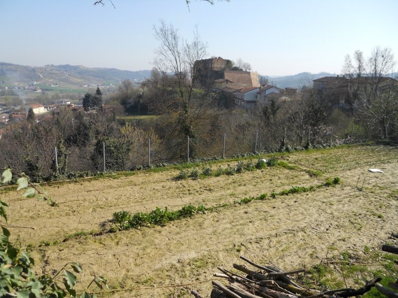 Semi-detached house in Mombercelli