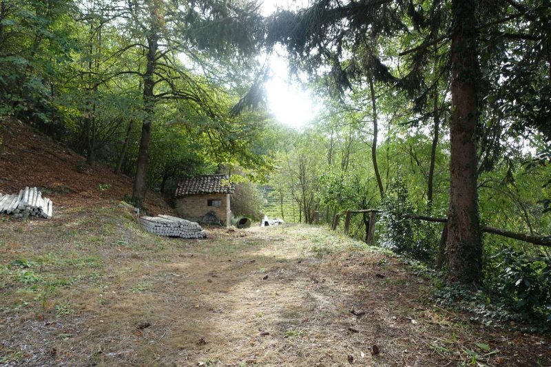 Casa indipendente a Cassinasco