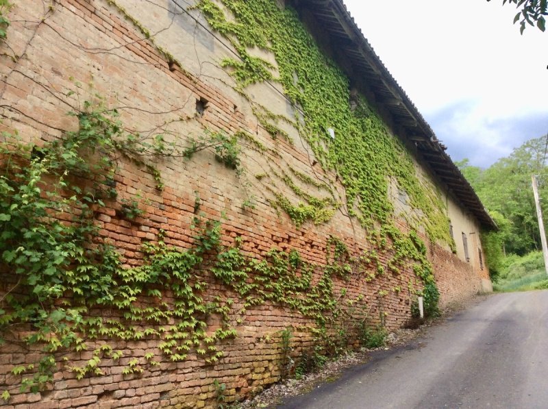 Casa indipendente a Montegrosso d'Asti