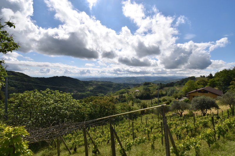 Casa indipendente a Bistagno