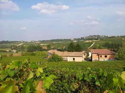 Quinta agrícola em Agliano Terme