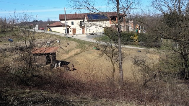 Casa indipendente a Cortandone