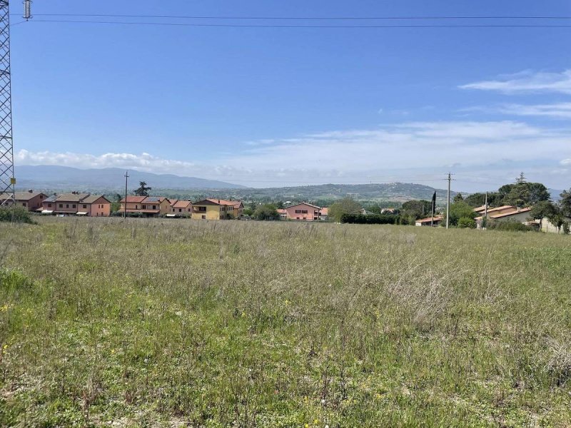 Building plot in Trevi