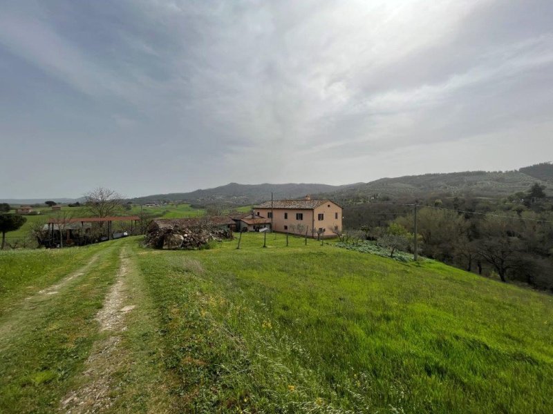 Ferme à Paciano