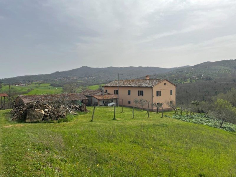 Ferme à Paciano