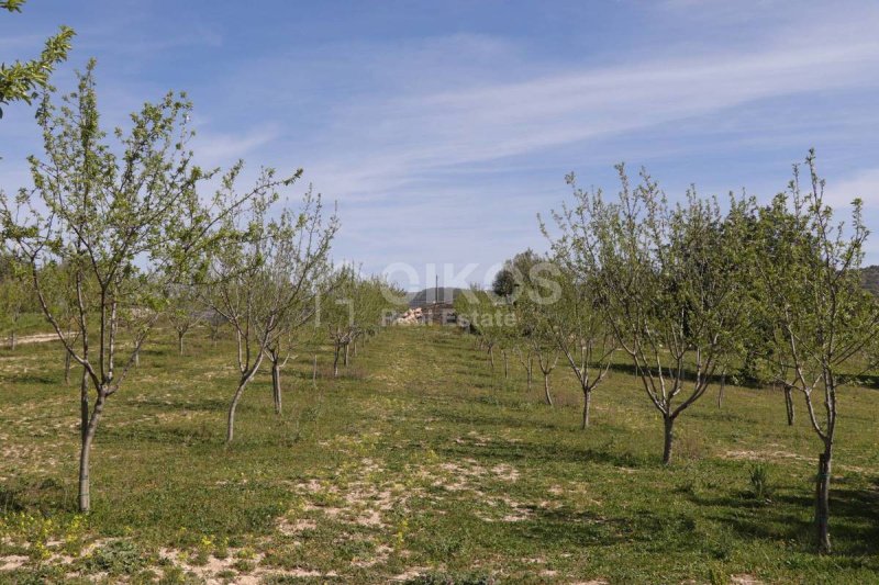 Landwirtschaftliche Fläche in Noto