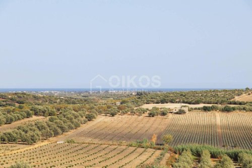 Agricultural land in Noto