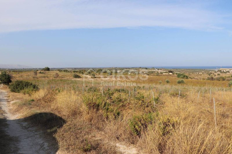 Agricultural land in Noto