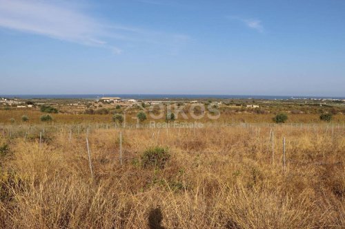 Agricultural land in Noto