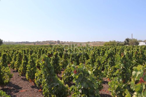 Agroturismo en Noto