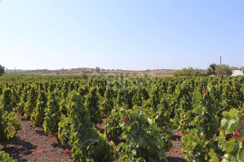 Agriturismo in Noto