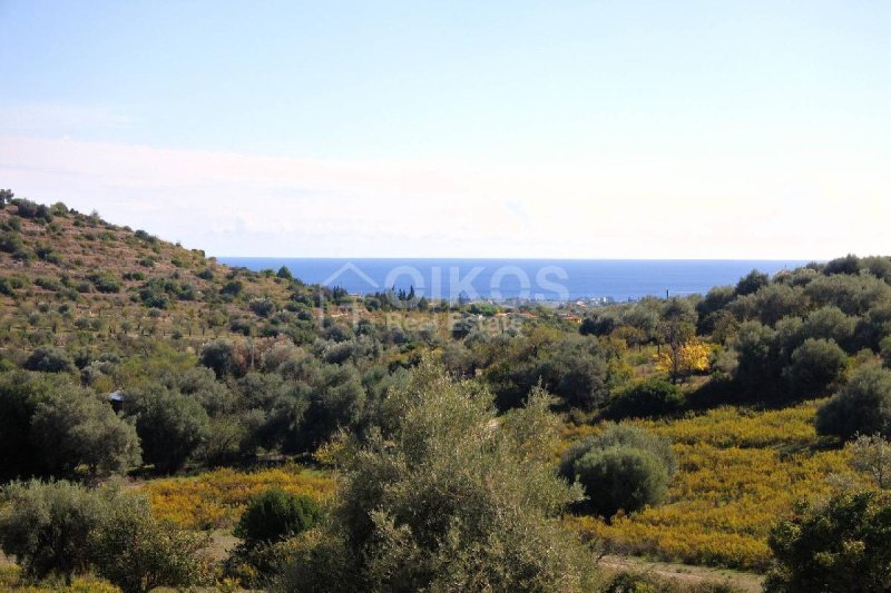 Agricultural land in Avola