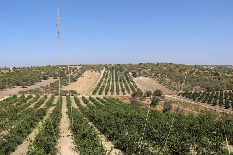 Landbouwgrond in Noto